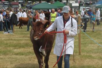PHOTO GALLERY: Pictures from Armagh County Show