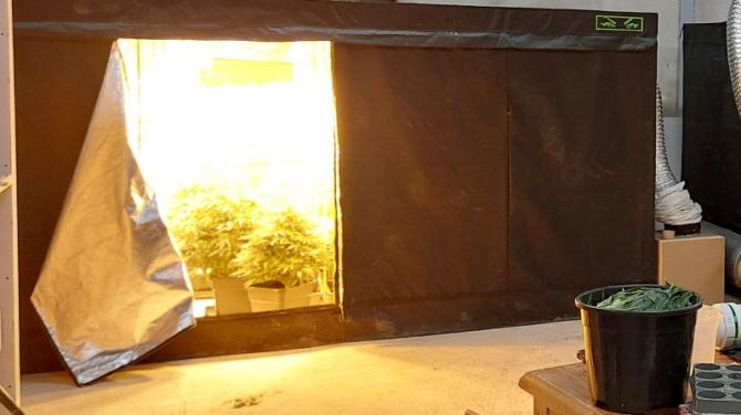 Suspected cannabis factory found in Scarva